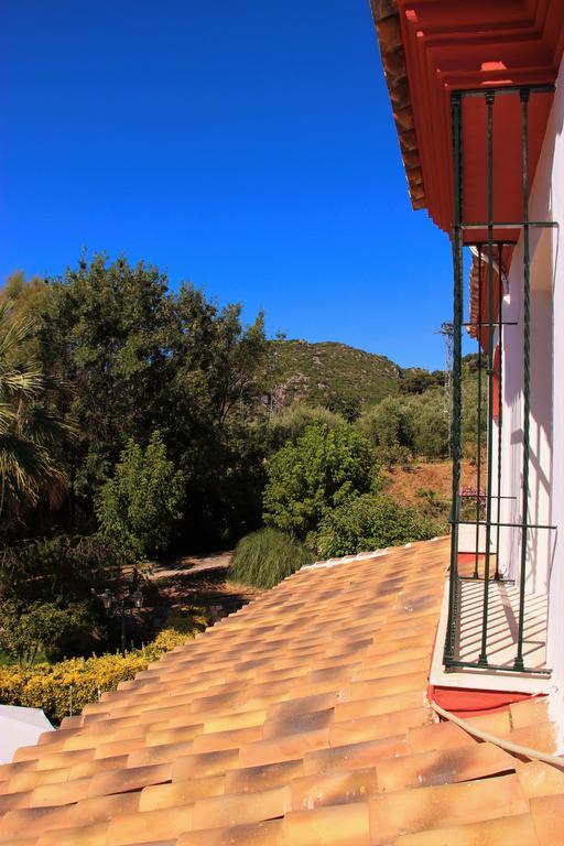 Hostal La Zamora Каркабуэй Экстерьер фото